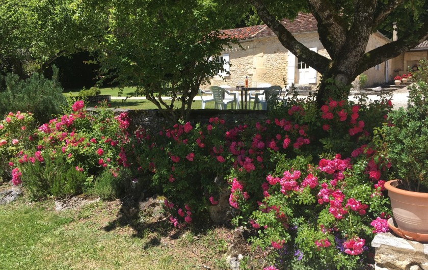 Location de vacances - Villa à Saint-Martin-des-Combes - Les rosiers en fleur