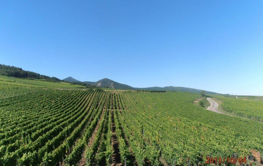 Location de vacances - Gîte à Hunawihr - Vue depuis la cuisine/salon.