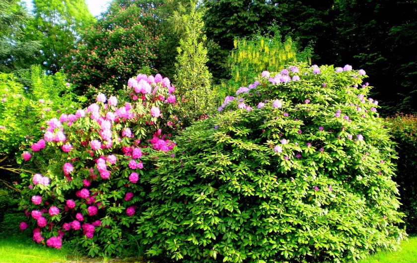 Location de vacances - Appartement à Luxeuil-les-Bains