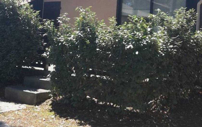 Location de vacances - Maison - Villa à Lacanau