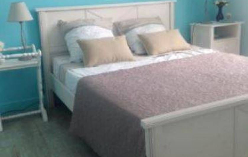 Location de vacances - Gîte à Chinon