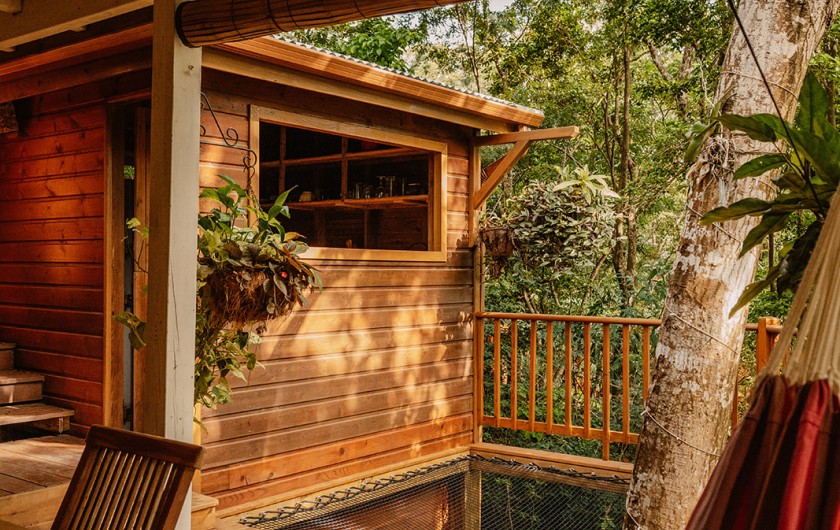 Location de vacances - Cabane dans les arbres à Deshaies - Cuisine et lit suspendu Cabane aux Etoiles