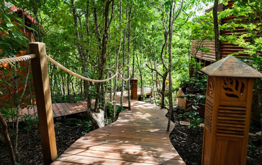 Location de vacances - Cabane dans les arbres à Deshaies - Immersion au cœur de la nature au pays des colibris