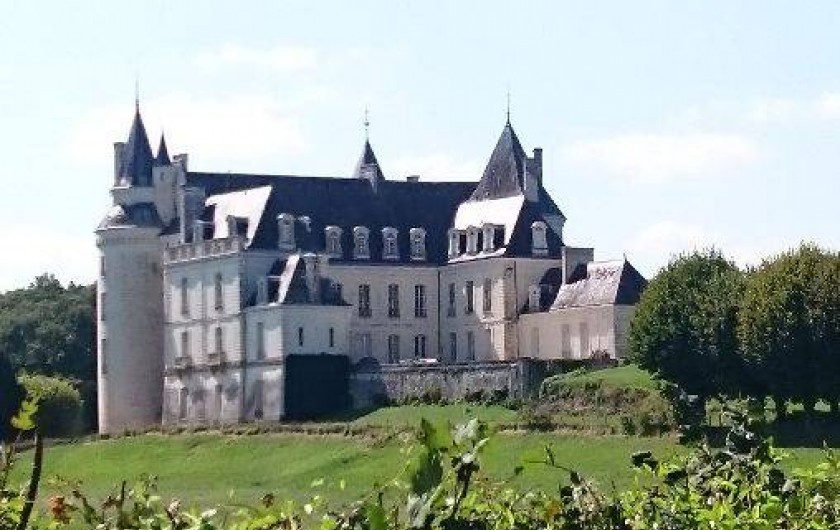 Le Château de Grillemont à la Chapelle Blanche St Martin (37)