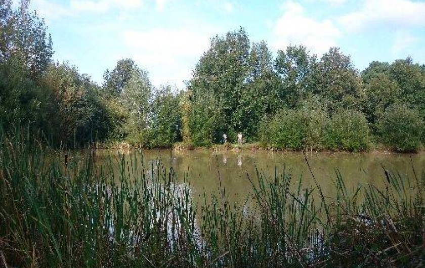 Location de vacances - Roulotte à La Chapelle-Blanche-Saint-Martin - Détente au bord de l'étang, Domaine de La Grangée (37)