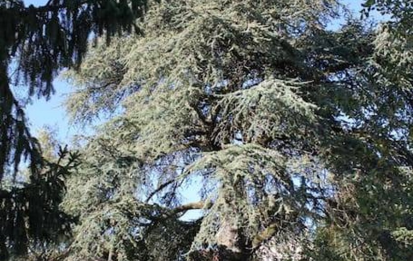 Location de vacances - Gîte à Thenon