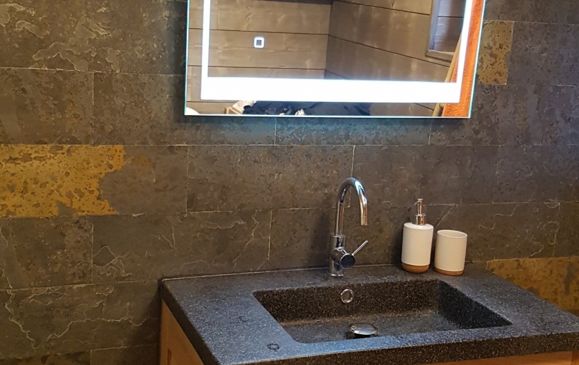 Location de vacances - Villa à La Bresse - Salle d'eau