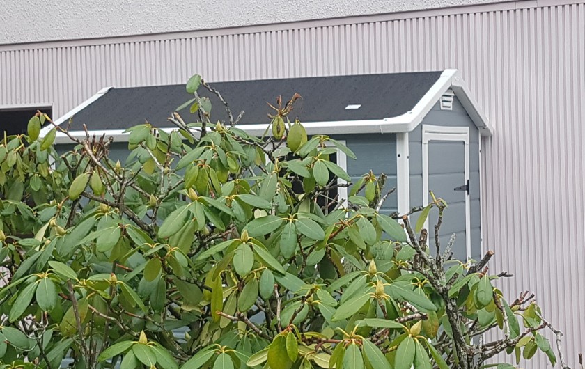 Location de vacances - Villa à La Bresse - Extérieur