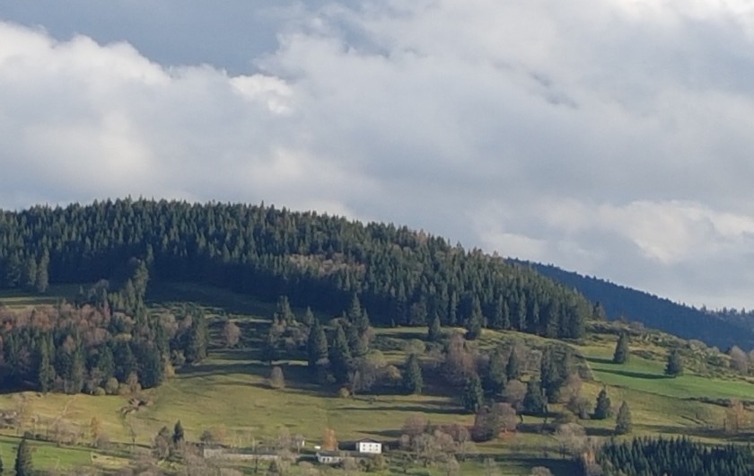 Location de vacances - Villa à La Bresse - La Bresse