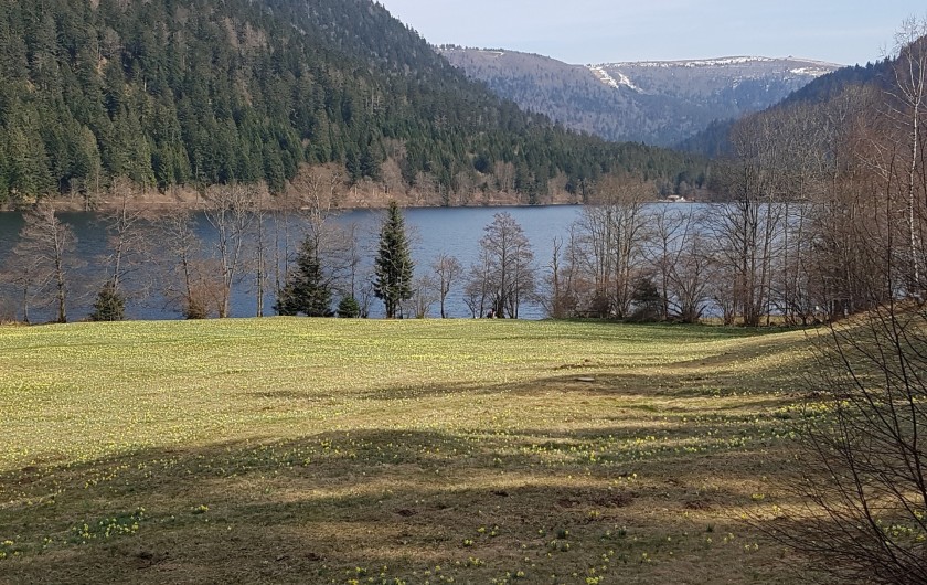 Location de vacances - Villa à La Bresse - Xonrupt-Longemer