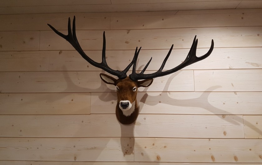 Location de vacances - Villa à La Bresse - Couloir