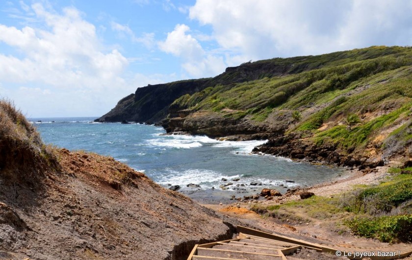 Location de vacances - Studio à Le Robert - La presqu'île de la Caravelle , ses falaises, sa baie du Trésor et sa mangrove