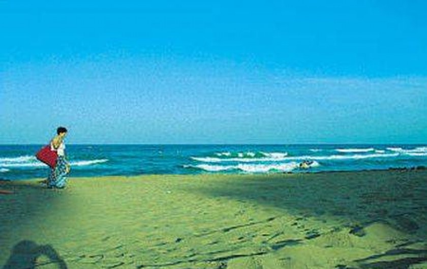 Location de vacances - Appartement à Torrevieja - Paya Zénia