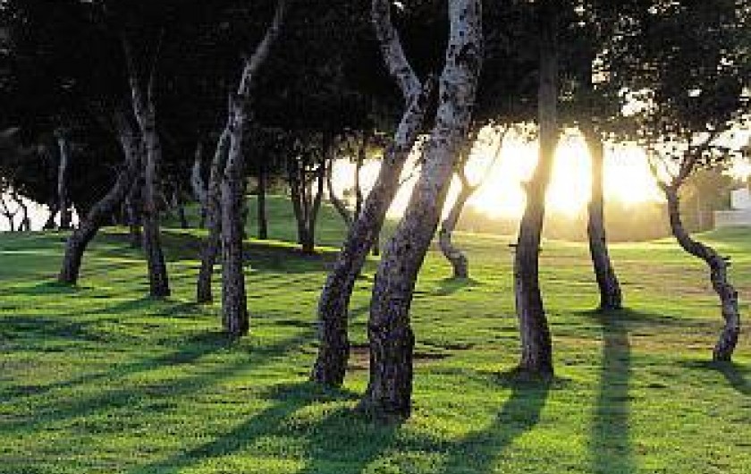 Location de vacances - Appartement à Torrevieja - Golfs