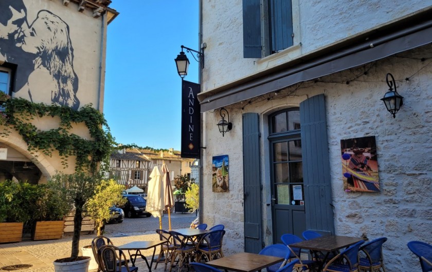Location de vacances - Gîte à La Sauvetat-du-Dropt