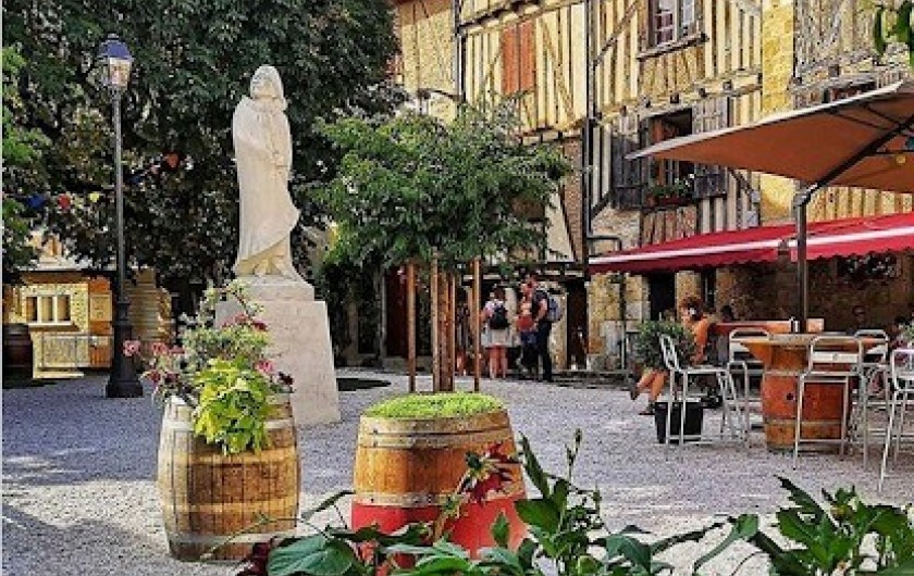 Location de vacances - Gîte à La Sauvetat-du-Dropt