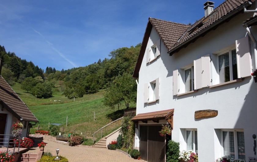 Location de vacances - Gîte à Hohrod - VUE SUR LE VALLON