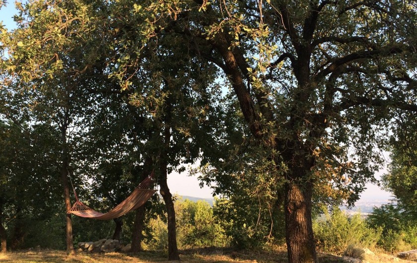 Location de vacances - Maison - Villa à Marano di Valpolicella - Zone des hamacs au bout de la première pelouse, vue à perte de vue...