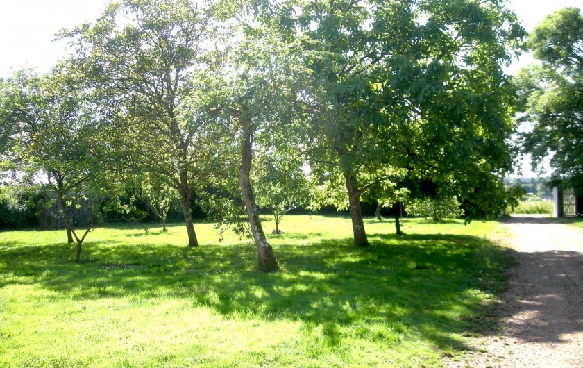 Location de vacances - Château - Manoir à Boissy-lès-Perche - Jardin