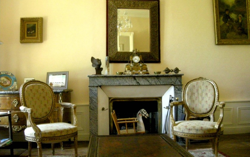 Location de vacances - Château - Manoir à Boissy-lès-Perche - Salon