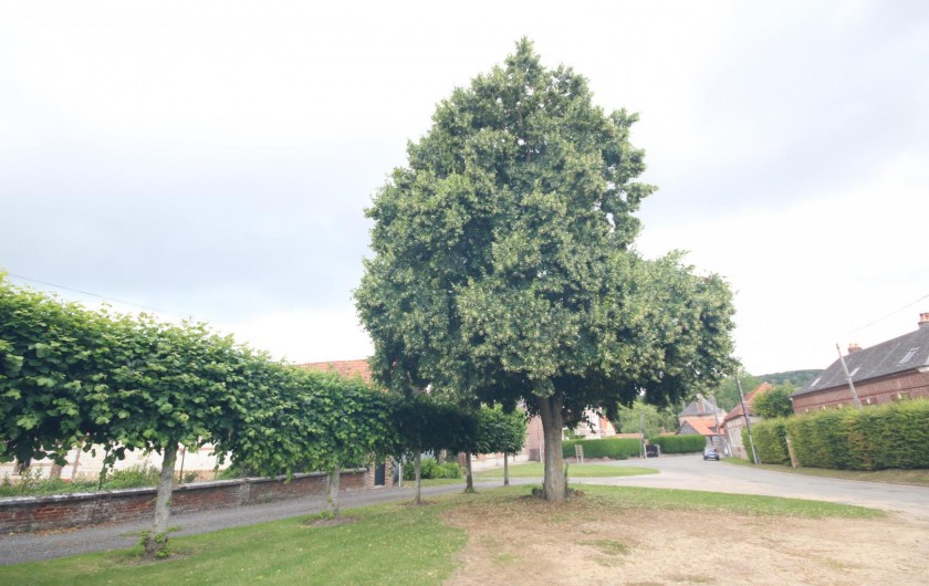 Location de vacances - Gîte à Sept-Meules