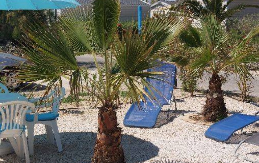 Location de vacances - Camping à Hyères