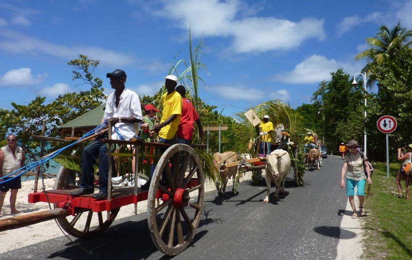 Location de vacances - Villa à Grand-Bourg - un défilé de chars à boeufs