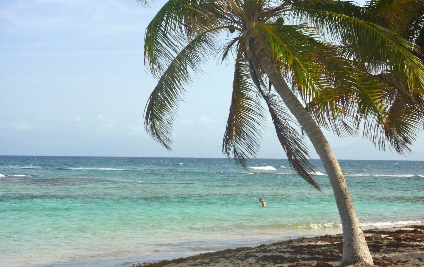 Location de vacances - Villa à Grand-Bourg - Plage  à 500m