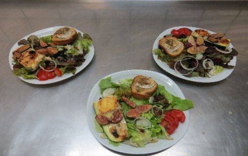 Location de vacances - Gîte à Viella