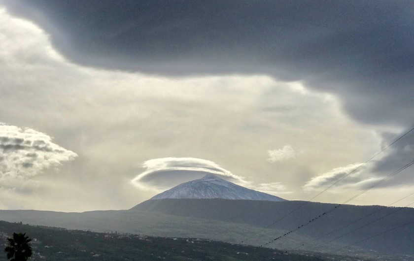 Location de vacances - Villa à La Orotava