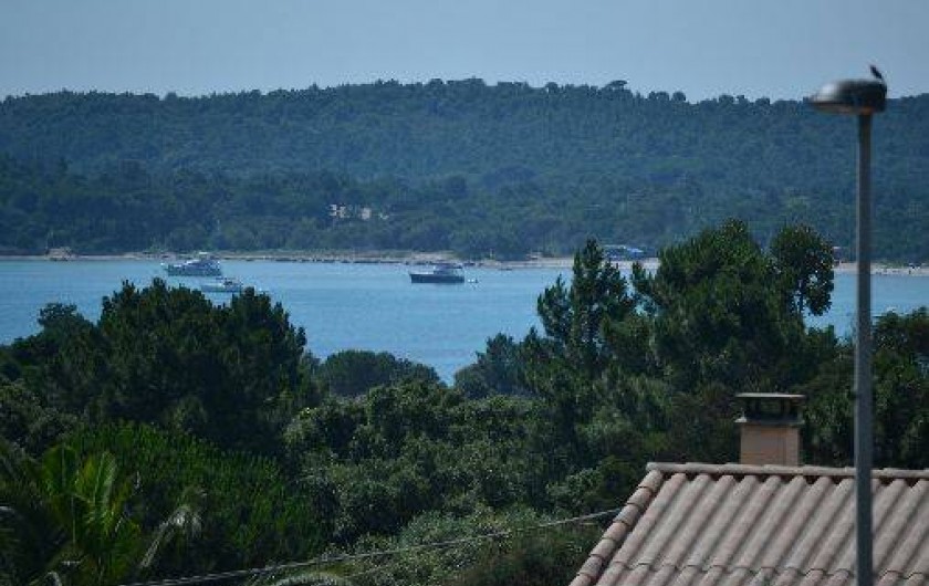 Location de vacances - Appartement à Pinarello