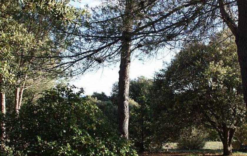 Location de vacances - Villa à Cucuron - Derrière la maison