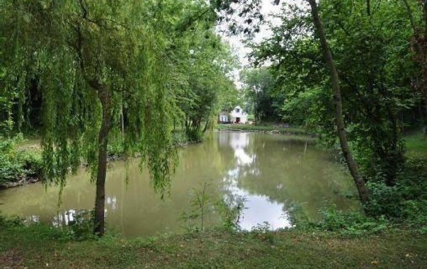 Location de vacances - Gîte à Tingry