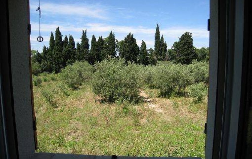 Location de vacances - Maison - Villa à Saint-Rémy-de-Provence