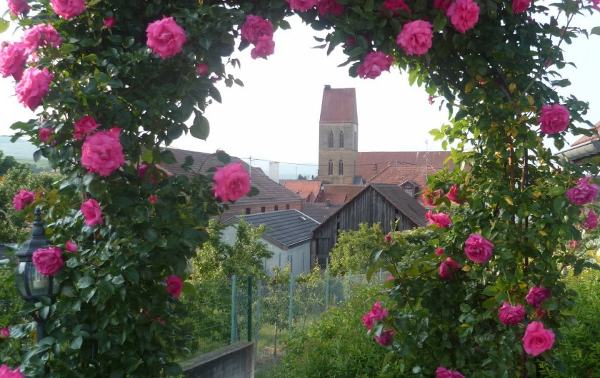 Location de vacances - Gîte à Eguisheim - L'été à Eguisheim