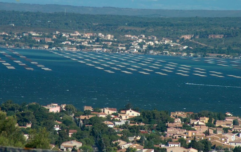 Location de vacances - Chambre d'hôtes à Sète - Vue de la chambre 4 clés