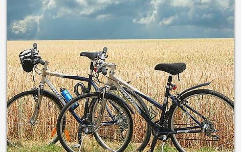 Location de vacances - Chambre d'hôtes à Le Boupère