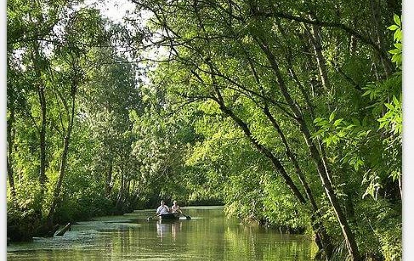 Location de vacances - Chambre d'hôtes à Le Boupère