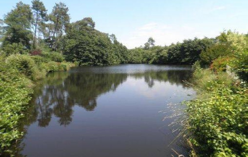 Location de vacances - Gîte à Pouydesseaux
