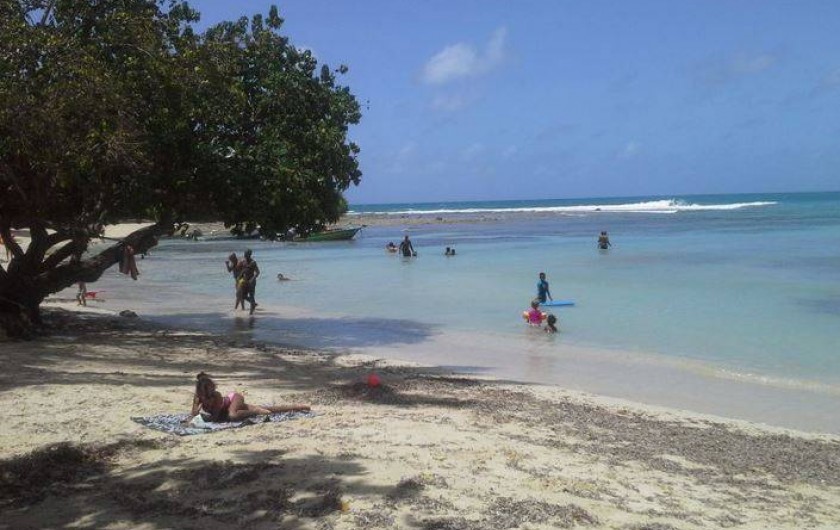 Location de vacances - Appartement à Le Gosier