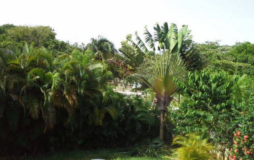 Location de vacances - Appartement à Le Gosier