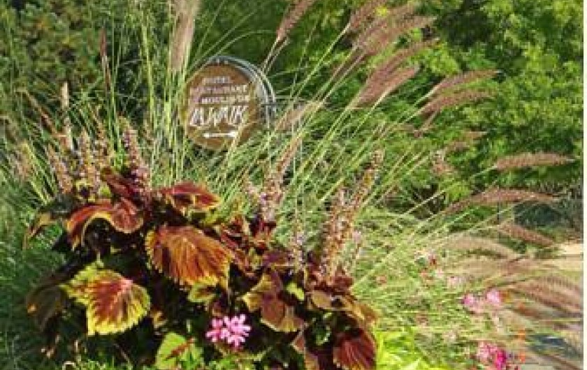 Location de vacances - Hôtel - Auberge à Wissembourg