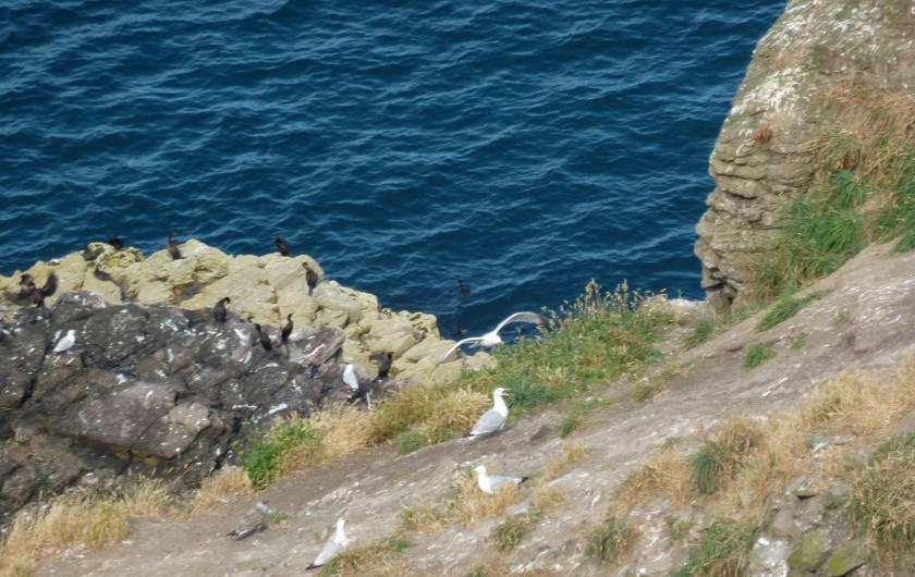 Location de vacances - Gîte à Pléven - Cap Fréhel