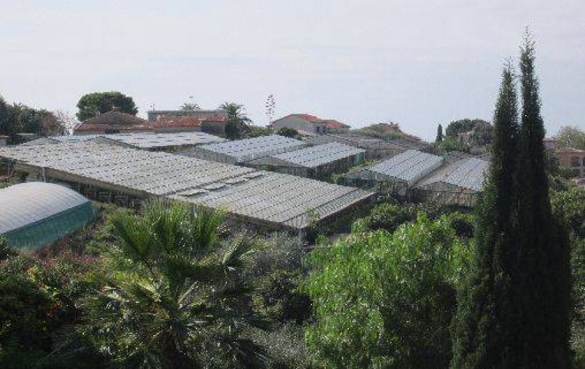 Location de vacances - Gîte à Cagnes-sur-Mer