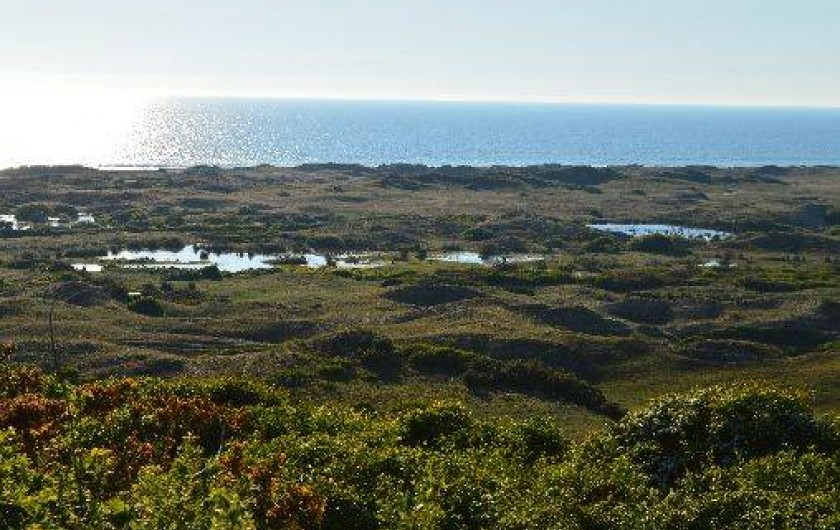 Location de vacances - Maison - Villa à Les Moitiers-d'Allonne - Dunes d'Hatainville . Site protégé