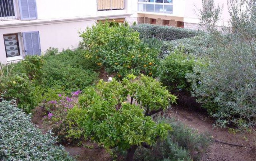 Location de vacances - Appartement à Hyères