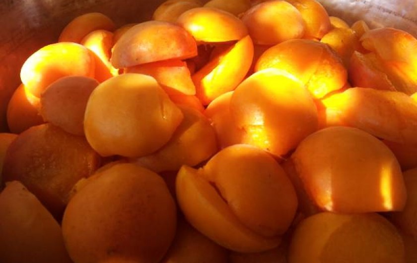 Location de vacances - Appartement à Le Barroux - Abricots prêts  pour la confiture