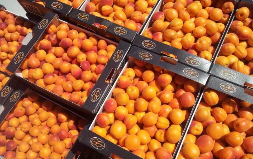 Location de vacances - Appartement à Le Barroux