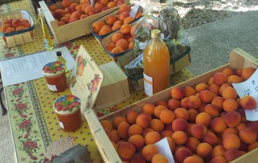Location de vacances - Appartement à Le Barroux - Vente d'abricots à la propriété
