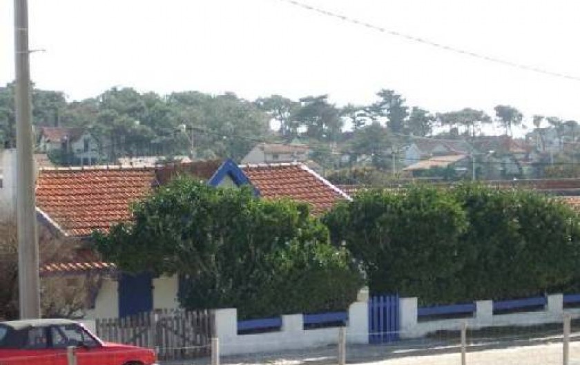 Location de vacances - Maison - Villa à Lacanau - vue de la dune